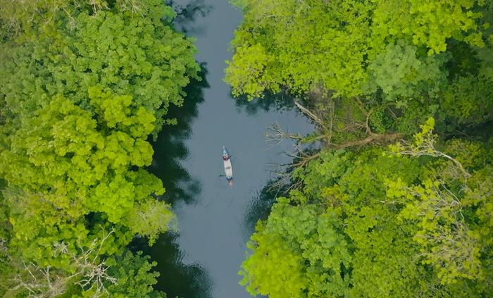 Canoe trips down the Teifi Gorge to Cardigan town.